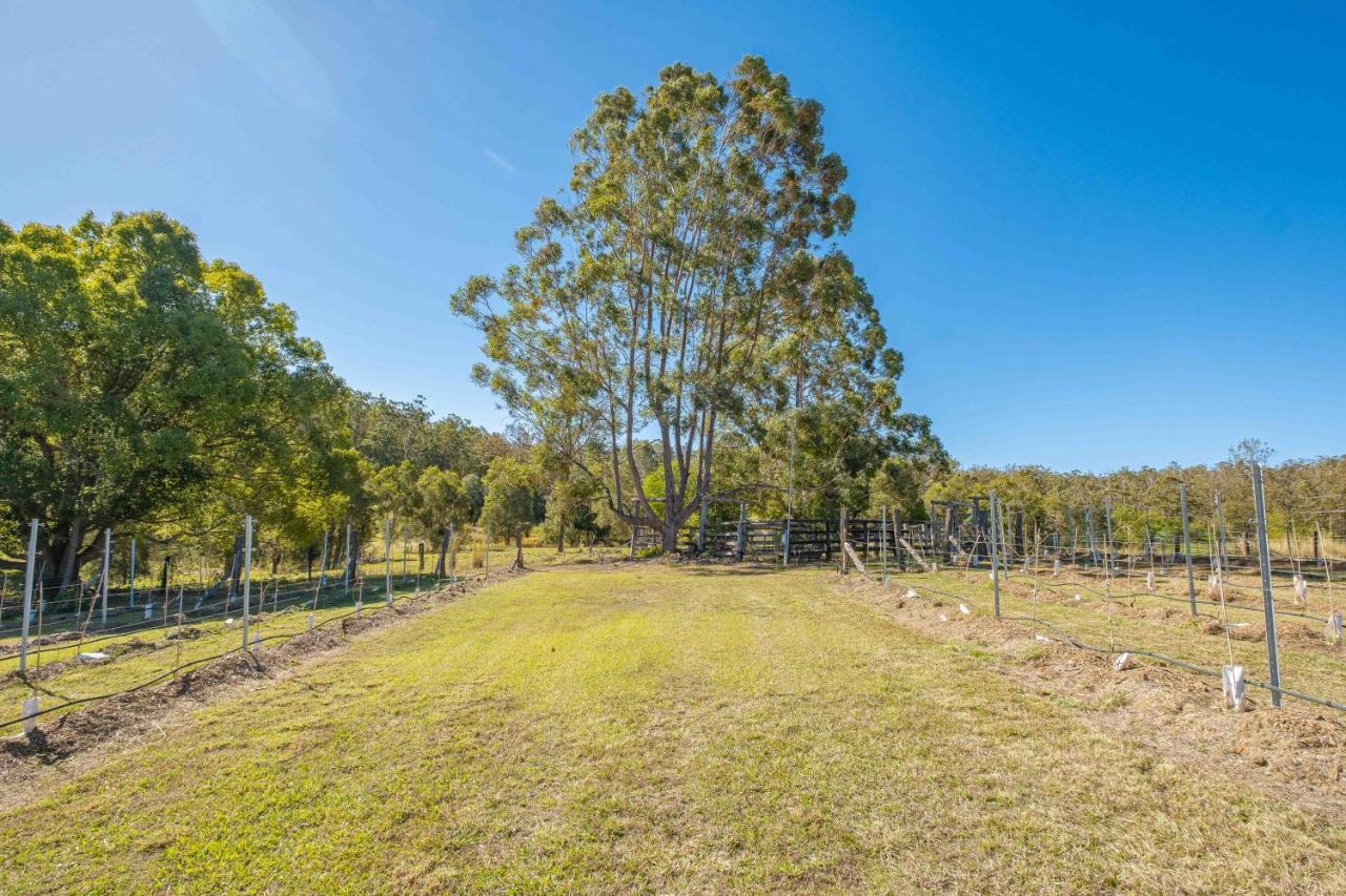 Villa Widgereedoo Farm. Vineyard Views. Peaceful Retreat. Tamaree Exterior foto